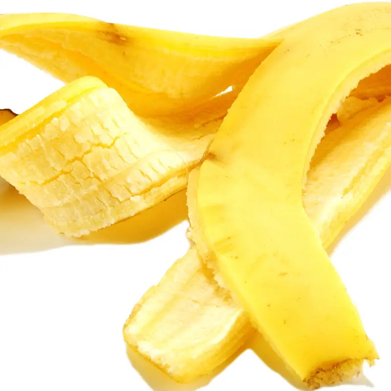 Close-up of a banana peel on a white background